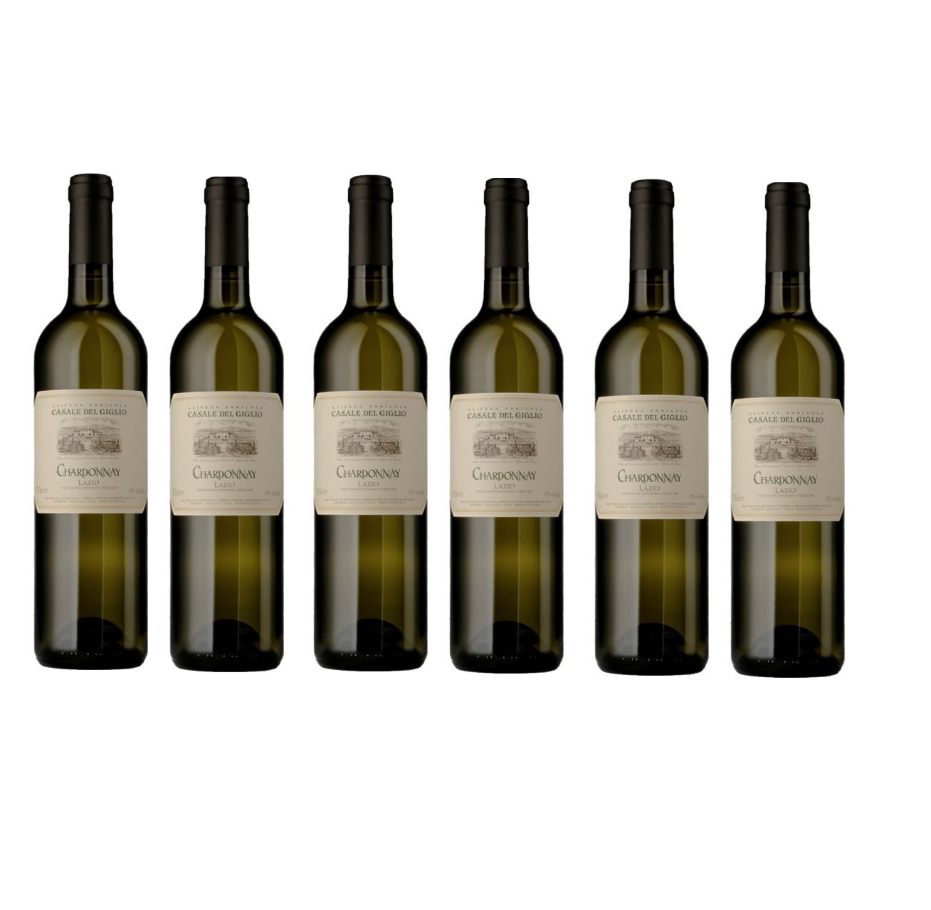 chardonnay-casale-6
